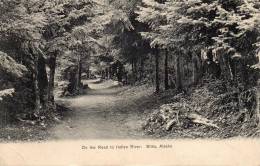 Sitka Alaska On The Road To Indian River 1900 Postcard - Sitka