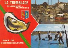 LA TREMBLADE 17, MULTI-VUES DU PAYS DE L'OSTREICULTURE - La Tremblade