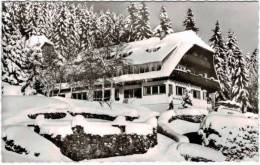 Allemagne - Hinterzarten - Haus Am Tannenhain - Hinterzarten