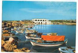 Ayia Napa Fishing Bay, Cyprus, Used Postcard [12340] - Chypre