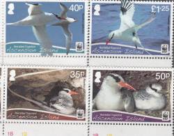 ASCENSION- 2011- WWF Issue- RED-BILLED TROPIC BIRD- MNH SET-BEC ROUGE TROPIC BIRD - Ascensión