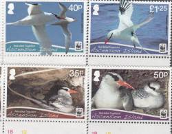 ASCENSION- 2011- WWF Issue- RED-BILLED TROPIC BIRD- MNH SET-BEC ROUGE TROPIC BIRD - Ascension (Ile De L')