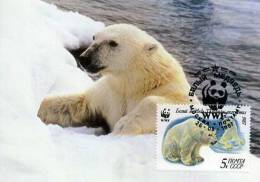 CARTE MAXIMUM 1ER JOUR RUSSIE OURS POLAIRE WWF - Ours
