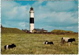 Allemagne - Sylt - Kampener Leuchtfeueur - Sylt