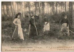 Landes  40 Métier  Tailleuses De Bruyères    ( Légèrement Décollée) - Autres & Non Classés