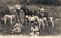 Lourdes      65     Éleveur De Chiens De Montagne    (voir Scan) - Lourdes