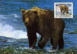 CARTE MAXIMUM 1ER JOUR  YOUGOSLAVIE  OURS BRUN WWF - Bears