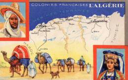 ALGERIE - Colonies Françaises - Autres & Non Classés