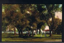 RB 899 - Early Postcard - The Park - Hanlon's Point - Toronto Canada - Toronto