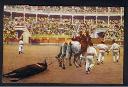 RB 900 - Coloured Postcard - Bullfighting - Arrastre Del Toro - Spain & Animal Theme - Stiere