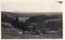 LE CHAMBON-SUR-LIGNON CARTE PHOTO - Le Chambon-sur-Lignon