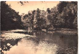 BR29903 Chambon Sur Lignon Etang De Joux   2 Scans - Le Chambon-sur-Lignon