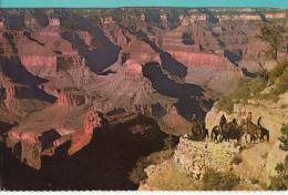 BR30103 Grand Canyon National Park Head Of Brigt Angel Trail    2 Scans - Grand Canyon