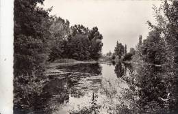 BR29012 Chateauneuf Sur Charente La Charente Pittoresque     2 Scans - Chateauneuf Sur Charente