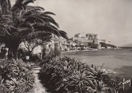 Delcampe - 20  CALVI     /////    REF  N251 - Calvi