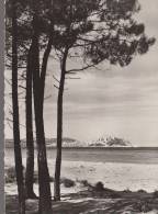 Delcampe - 20  CALVI     /////    REF  N252 - Calvi