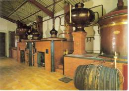 CPSM SAINT PIERRE D'OLERON (Charente Maritime) - FAVRE & Fils Vignerons : Vue De La Distillerie (Cognac) - Saint-Pierre-d'Oleron