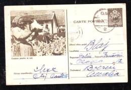 POSTCARD,ENTIERS POSTAUX,POSTAL STATIONERY,RAISING CHICKEN,1959 - Gallinacées & Faisans