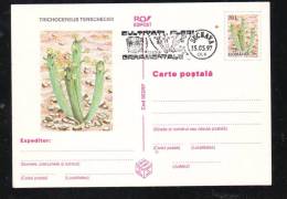 CACTUS,POSTAL STATIONERY,ENTIERS POSTAUX,1997,ROMANIA - Cactusses