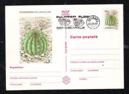 CACTUS,POSTAL STATIONERY,ENTIERS POSTAUX,1997,ROMANIA - Cactus