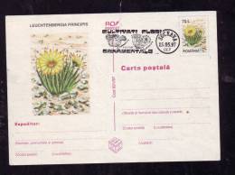 CACTUS,POSTAL STATIONERY,ENTIERS POSTAUX,1997,ROMANIA - Cactusses