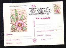 CACTUS,POSTAL STATIONERY,ENTIERS POSTAUX,1997,ROMANIA - Sukkulenten