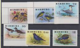 Barbuda Birds MNH ** - Barbuda (...-1981)