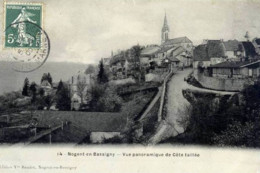 Dépt 52 - NOGENT-EN-BASSIGNY - Vue Panoramique De Côte Taillée - 1909 - Nogent-en-Bassigny