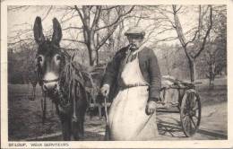 5384 - St-Loup Vieux Serviteurs  Paysan Avec Son âne Tirant Une Charrette - Pompaples