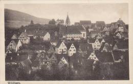 ## Germany PPC Wildberg WILDBERG In Württenberg 1919 To STUTTGART (2 Scans) - Karlsruhe