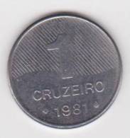 BRASIL  1 CRUZEIRO  1.981  Acero  KM#590  SC/UNC     DL-10.194 - Brazilië