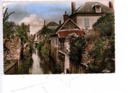 CHAUMONT EN VEXIN - LA TROÊNE - Collection  Bernard - Photo Véritable - écrite En 1955 - Chaumont En Vexin