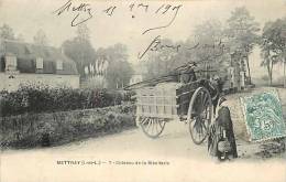 Indre-et-Loire : Nov12 197 : Mettray  -  Château De La Ribellerie - Mettray