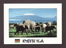 ÉLÉPHANTS - ELEPHANT - ELEPHANTS - KENYA - AFRICAN WILDLIFE MT. KILIMANJARO  - 17 X 12cm - BY SAPRA - Elefanti