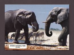 ÉLÉPHANTS - ELEPHANT - ELEPHANTS - ETOSHA NATIONAL PARK NAMIBIA BY MARK VAN AARDT - Elefanti