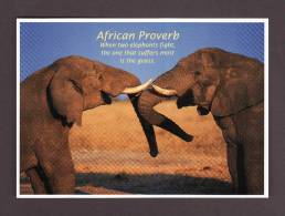 ÉLÉPHANTS - ELEPHANT - ELEPHANTS - AFRICAN PROVERB WHEN 2 ELEPHANTS FIGHT THE ONE THAT SUFFERS MOSS IS THE GRASS - Elefanti