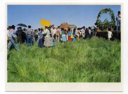 CASTRO VERDE, Beja - Costumes, Romaria à Ermida De S. Miguel - Beja