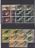 Oiseaux - Pigeons - Guinée Equatoriale - Bloc De 4 ** - MNH - Palomas, Tórtolas