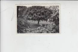 NL - GELDERLAND - RENKUM - OOSTERBEEK, Photo Maibaum Bei Oosterbeek 1934 - Renkum