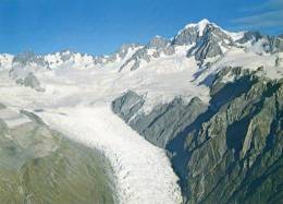 Delcampe - Fox Glacier, New Zealand - Joja 103 Unused - Neuseeland
