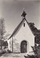 GYMNASIUM FRIEDBERG GOSSAU  MARIENKAPELLE - Gossau