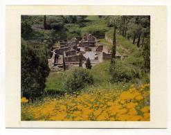 SANTIAGO DO CACÉM - Termas, Ruinas Romanas De Miróbriga - Setúbal