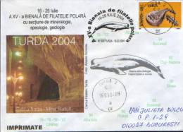 Romania-Envelope Occasionally 2004-White Whale;Blanc De Baleine;weißen Wal-Beluga - Wale