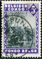 BELGIAN CONGO, CONGO BELGA, Propaganda For The National Parks II, 1938, FRANCOBOLLO USATO, Scott 166 - Gebraucht