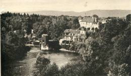 SAUVETERRE DE BEARN - LE VIEUX PONT - PONT DE LEGENDE - Sauveterre De Bearn