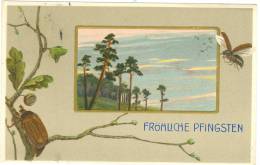 Pfingsten, Landschaft, Maikäfer, Prägekarte, 1907 - Pentecoste