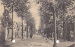 Halle I.W., Wertherstraße, Um 1910 - Halle I. Westf.