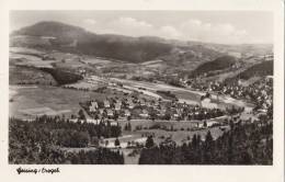 Geising Im Erzgebirge, Um 1954 - Geising