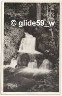 PERTHES-EN-GATINAIS - La Cascade Du Petit Moulin - N° 3683 - Perthes