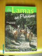 DES LAMAS EN PROVENCE  Pierre Andre SCHERRER - Provence - Alpes-du-Sud